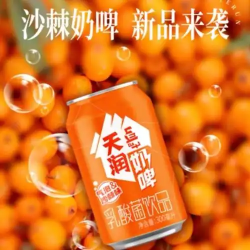 新疆天润奶啤沙棘味300ml12罐乳酸菌饮品含乳饮料非啤酒新品