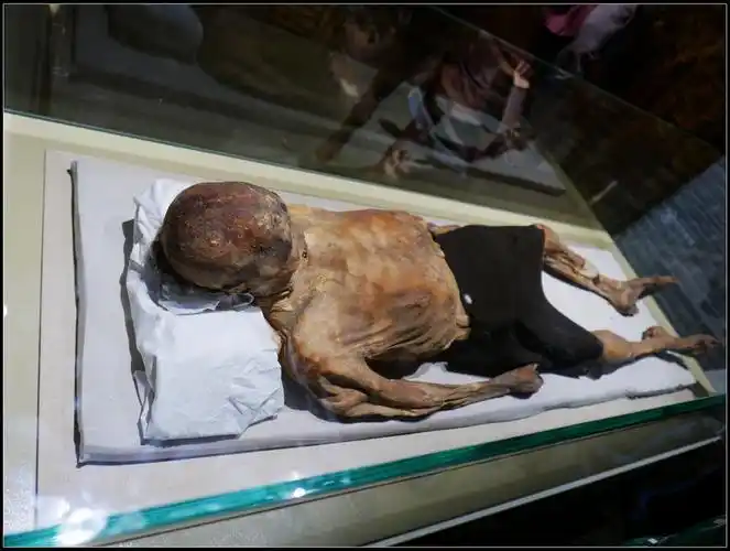 s视野新疆古干尸逝者越千年