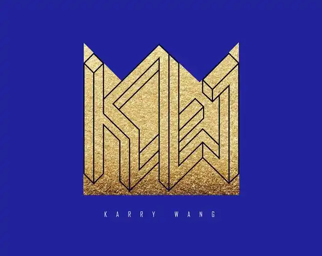 王俊凯工作室logo设计