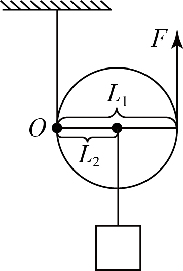 动滑轮实质是一个动力臂为阻力臂二倍的杠杆,动力臂为滑轮的直径,阻力