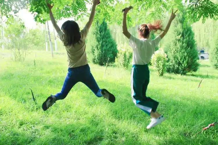 一个人一群人一些事