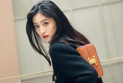 这个春天人气最夯的it bag评选出来了……|林珍娜|傅菁|宋轶_新浪新闻