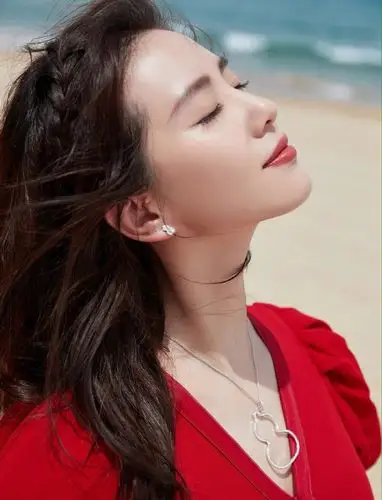 刘诗诗唯美红裙海边写真图片19