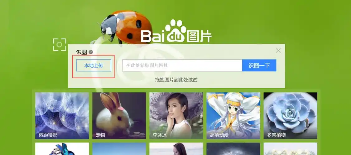 会弹出一个识图的半透明框,点击"本地上传",上传那张有些糊的泰坦尼克