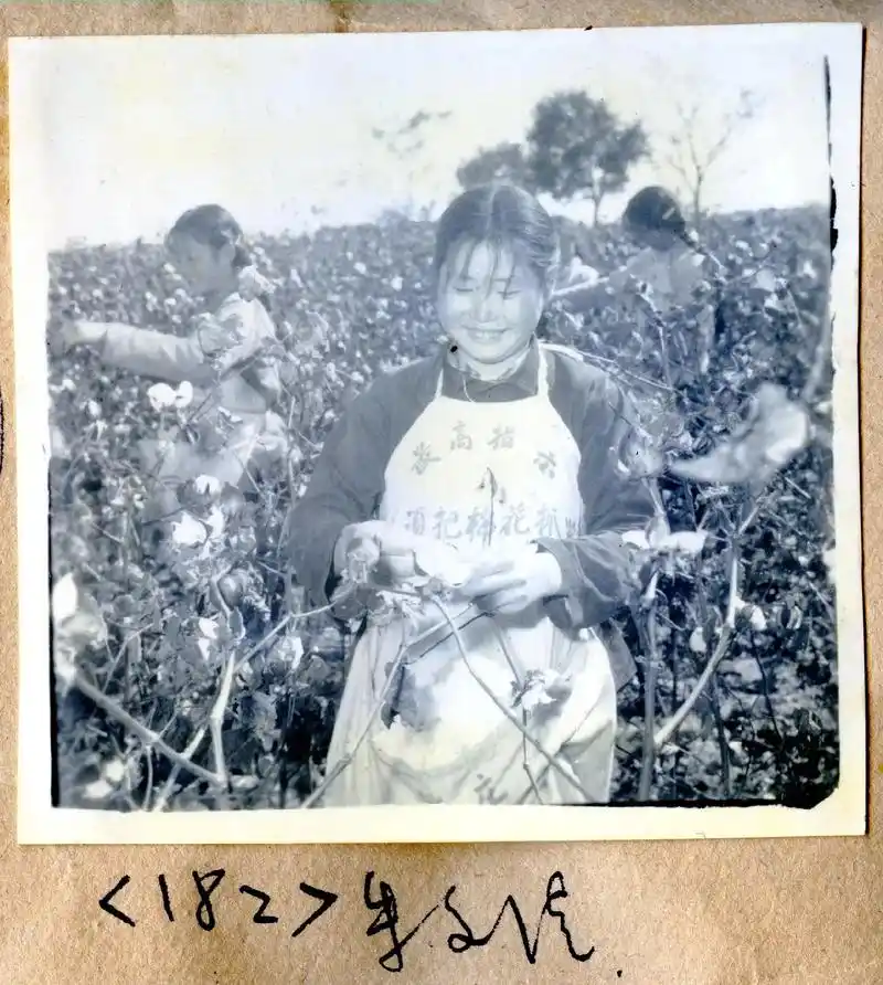 鱼台老照片之三:六,七十年代,农林牧副渔,多种经营. - 抖音