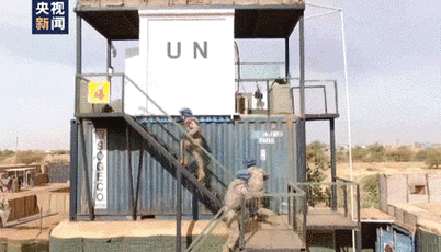 今天,为你郑重介绍我的"蓝盔"朋友!