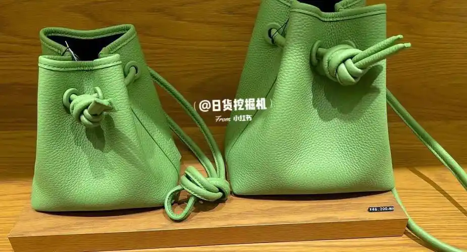 日本小赛琳vasic包包