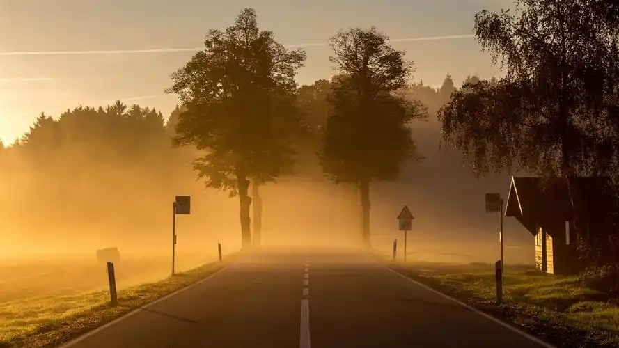 壁纸 黎明,早晨,城镇,道路,雾 2560x1440 qhd 高清壁纸, 图片, 照片