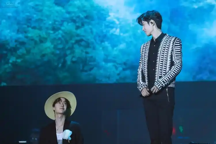 【博君一肖】肖战王一博 陈情令国风演唱会