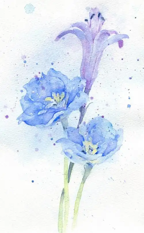 9张唯美淡雅的小清新水彩画插画图片