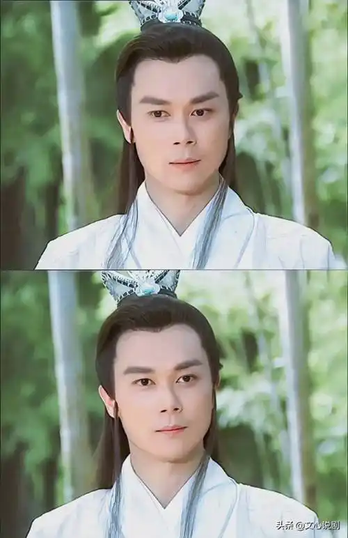 古装剧中的十大美男,曾经的白月光,你最喜欢谁?_文心_王灿_杨过