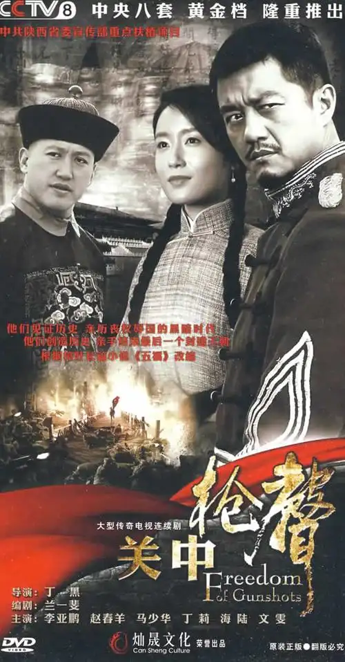 影视 电视剧 内地 > 大型传奇电视连续剧:关中枪声(12dvd)