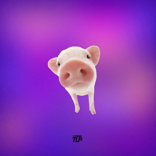 tlp反光贴 可爱的大鼻子宠物小猪 呆萌 平面平板笔记本装饰贴纸