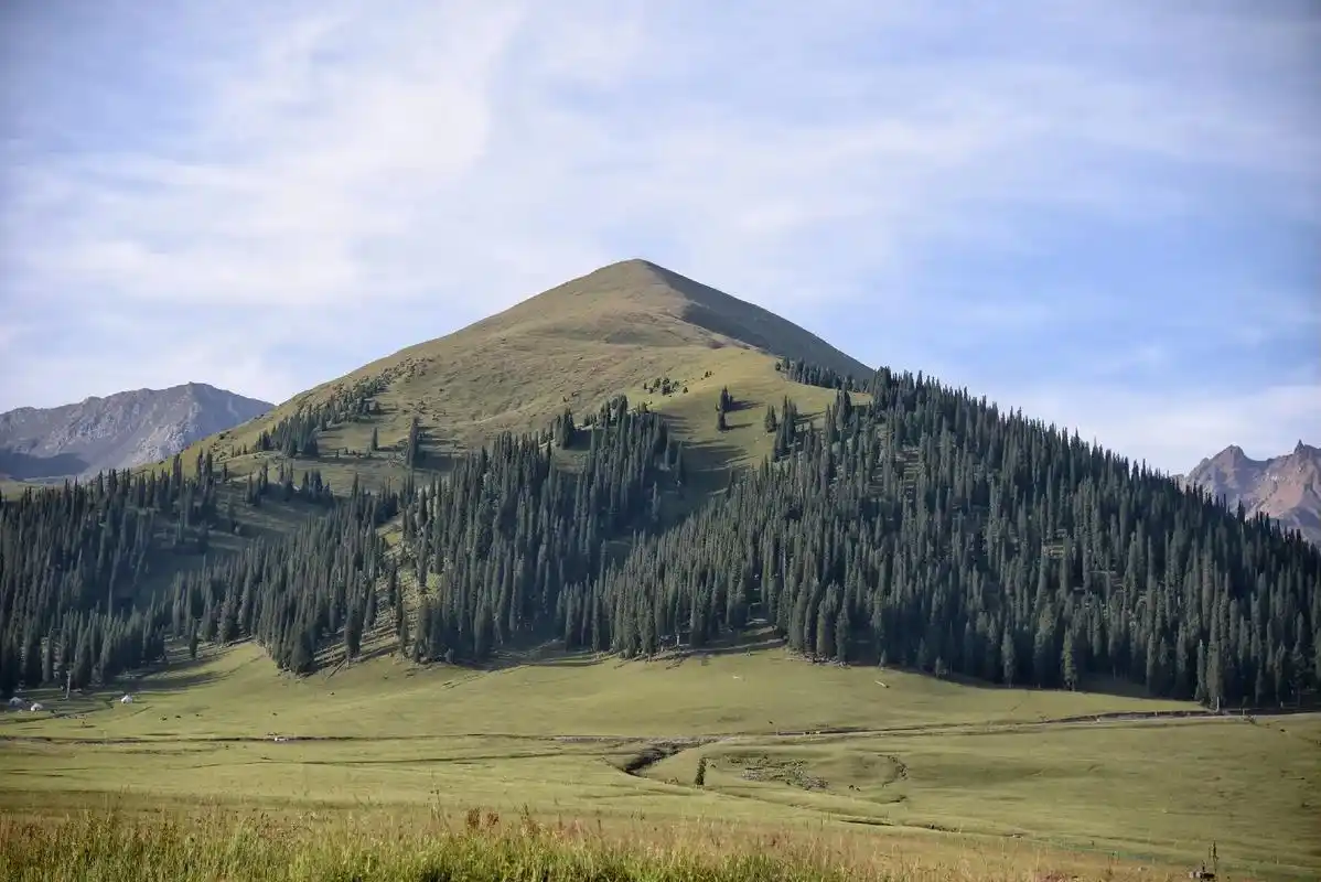 那拉提草原是亚高山草甸植物区,位于那拉提山北坡,由空中草原, - 抖音