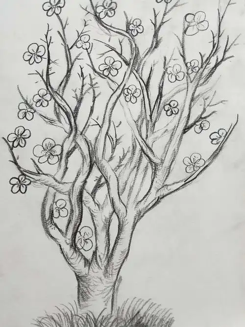 梅花写生——丹青书画空间造型艺术中级班作品