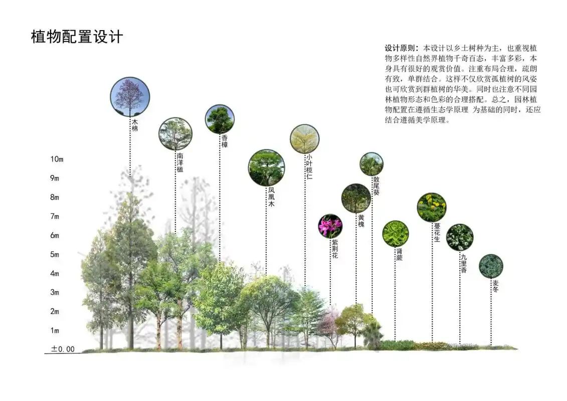 分层分析图和植物配置图 分享两张简单的景观专业的分析图 	 分层分析