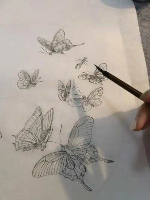 尝试15只蝴蝶0303#工笔画  #线描