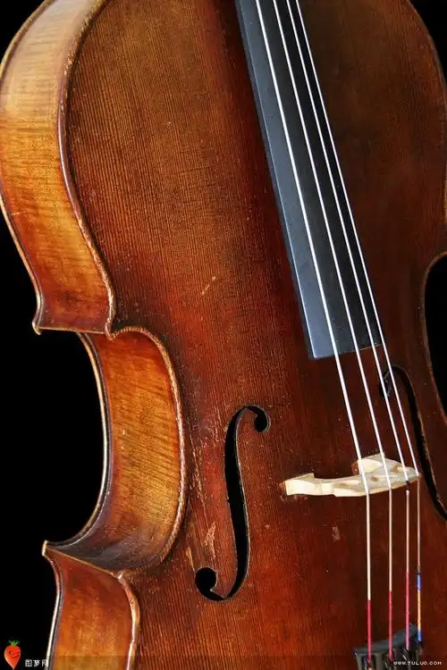 狂恋大提琴-堆糖,美好生活研究所