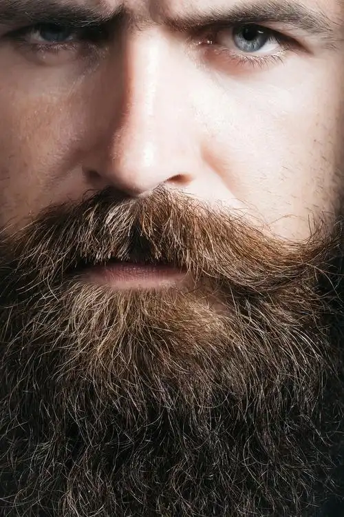 英俊的大胡子的男人