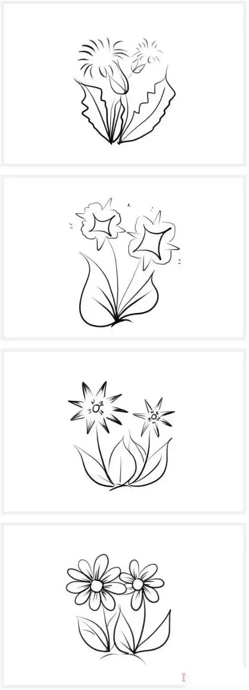 各种漂亮小花素描怎么画简单易学花朵简笔画图片