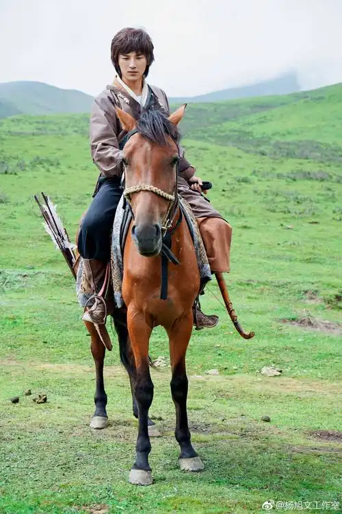 郭靖杨旭文射雕英雄传剧照