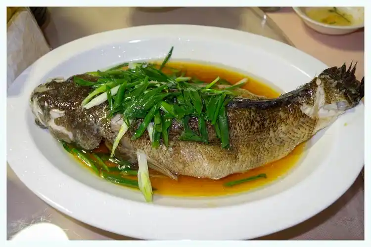 广式笋壳鱼