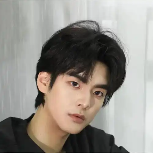 宋威龙刘海自然微分逼真黑色帅气韩版直发男短日常整顶假发