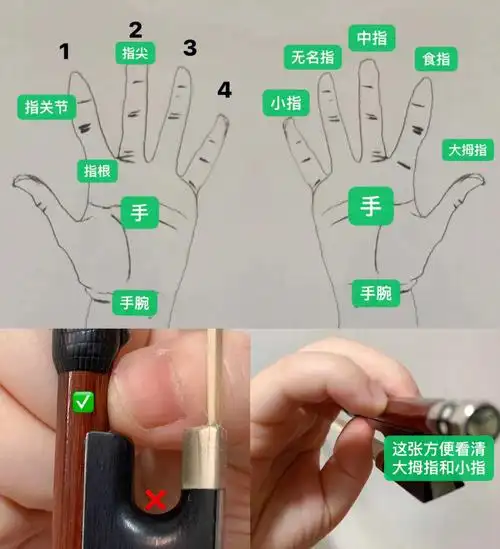 4步学会拉小提琴的正确姿势之(2)持弓