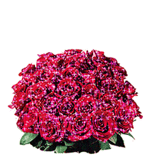 玫瑰花的表情包动态gif表情图片 - 找表情上表情家