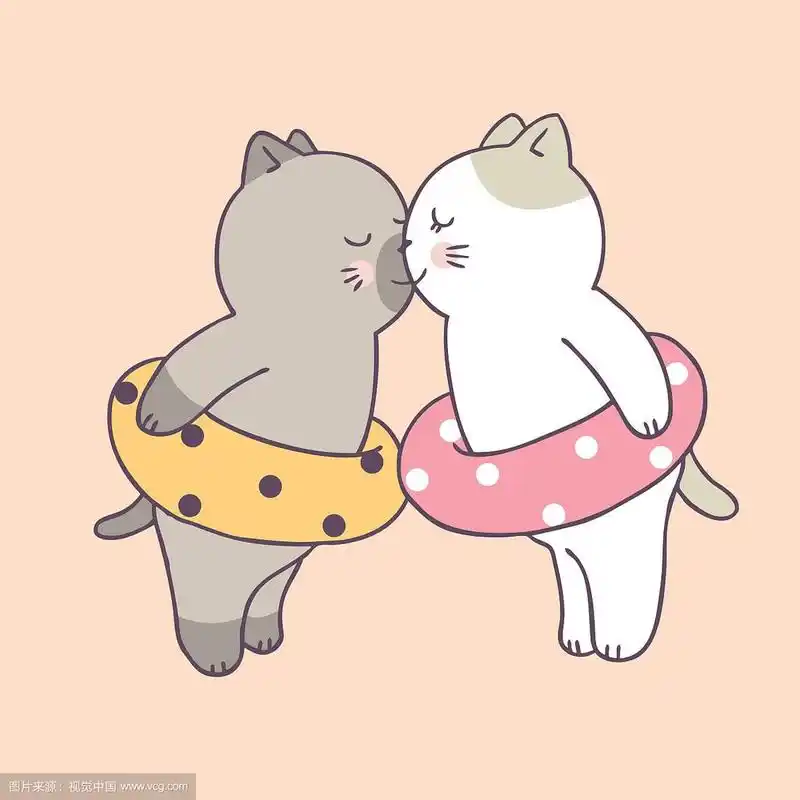 卡通可爱的夏天夫妇猫接吻