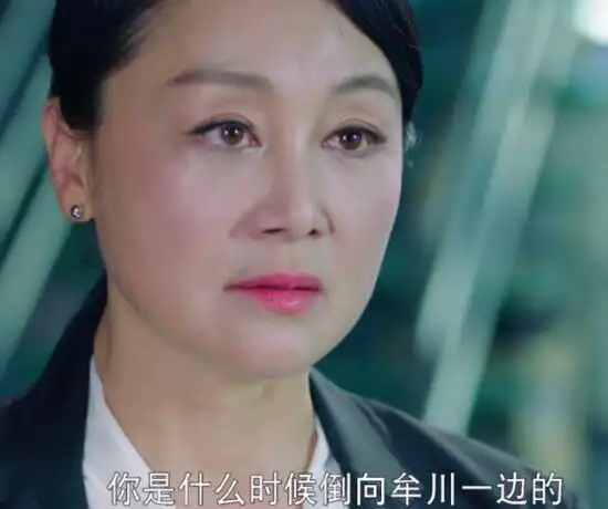 风暴舞郑佩妮是好人还是坏人