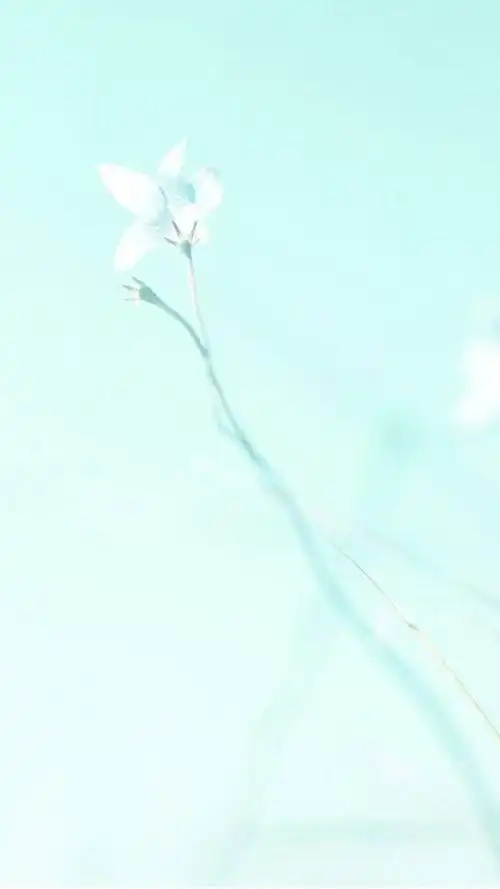 简约淡蓝色花朵背景
