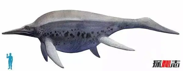 水中最强的恐龙排行榜沧龙水中霸主无敌