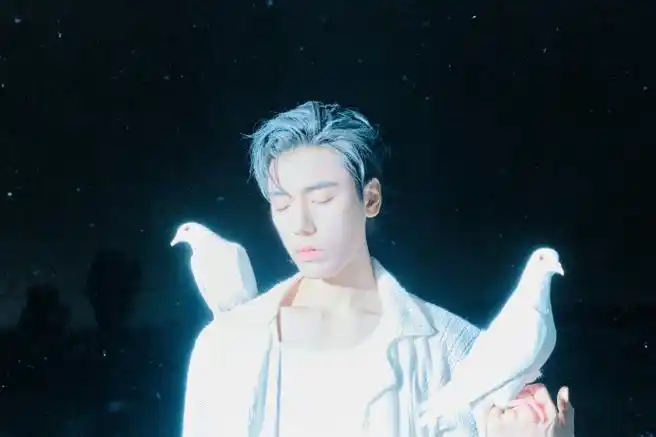 王子异荒野落寞氛围感大片##王子异被鸽子抢了镜头