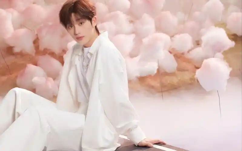 【丁程鑫】清唱"你浅浅的微笑就像 乌梅子酱～"