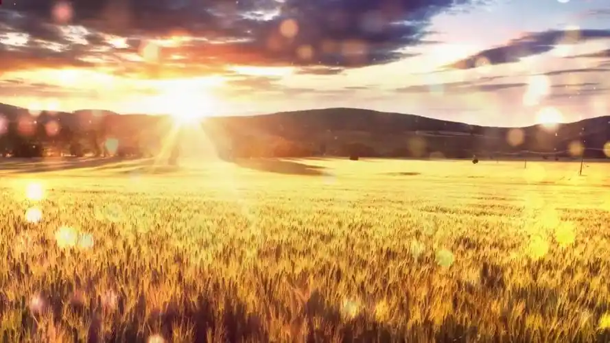 3539 在希望的田野上 伴奏led舞蹈舞台大屏幕背景视频素材