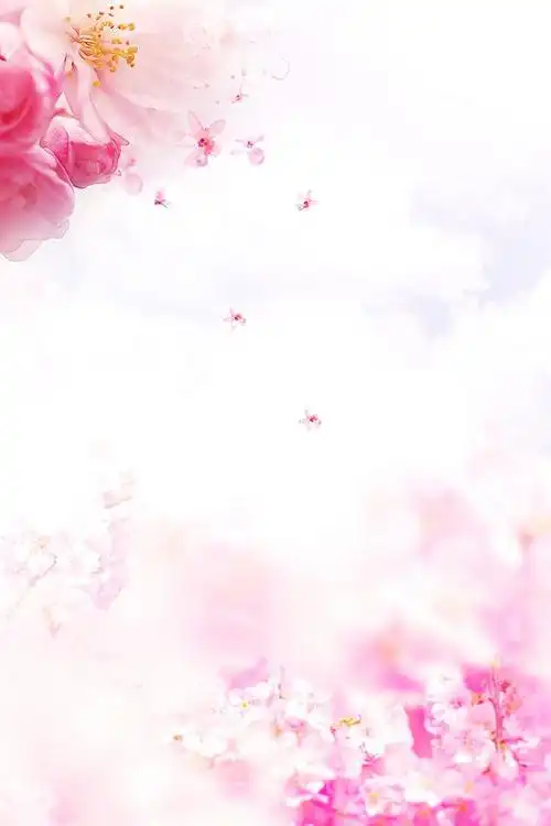 粉色 清斜尘笆婵上略赝计凵唯美图片广告背景图片素材 唯美浪漫