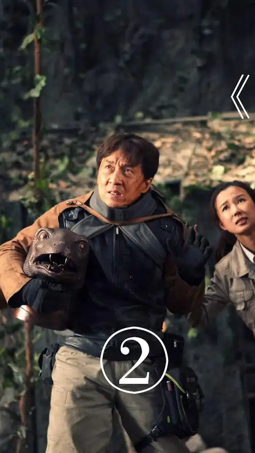 成龙大哥的101部电影,危险动作片