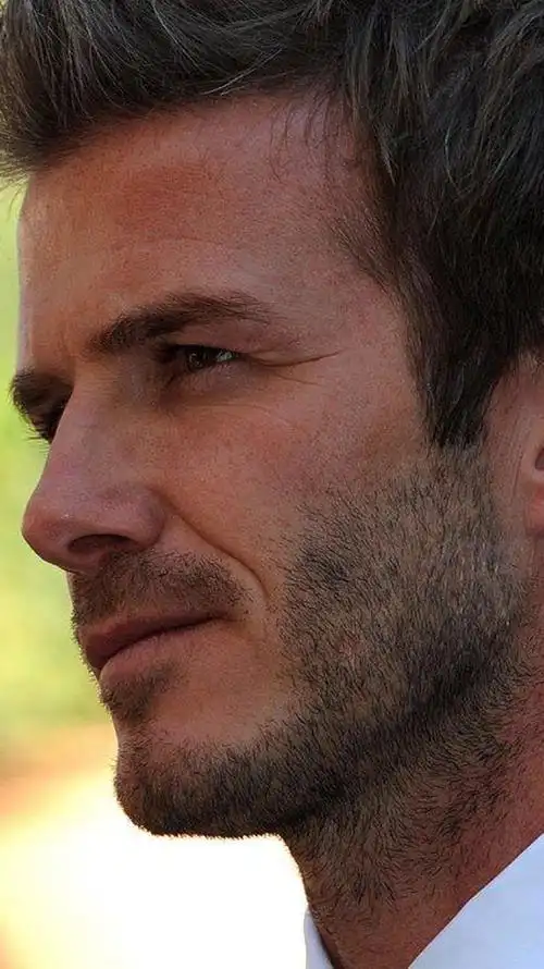 高清晰的络腮胡欣赏【下】