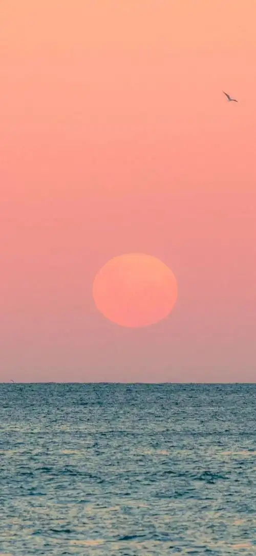 每日精选4k全屏壁纸09期