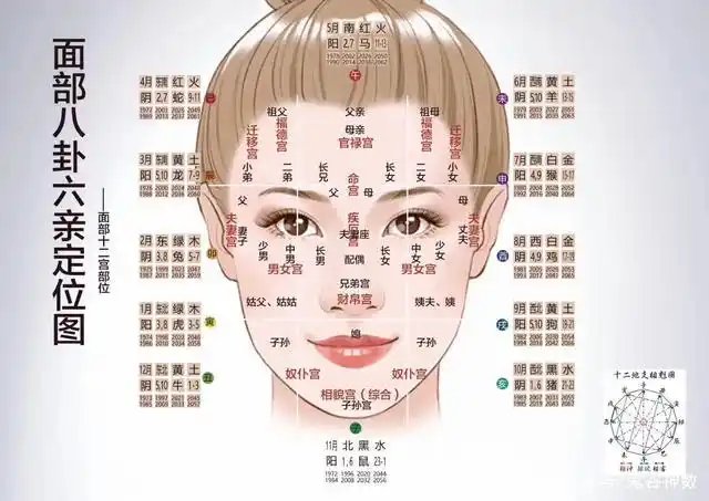 面相之鼻子精华断语