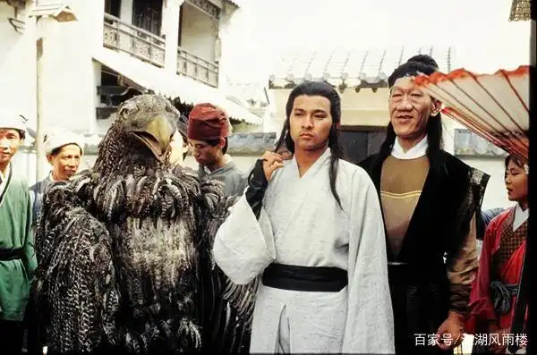 哪版"雕兄"才是杨过的最爱?有的凶恶,有的温顺,有的直接变异