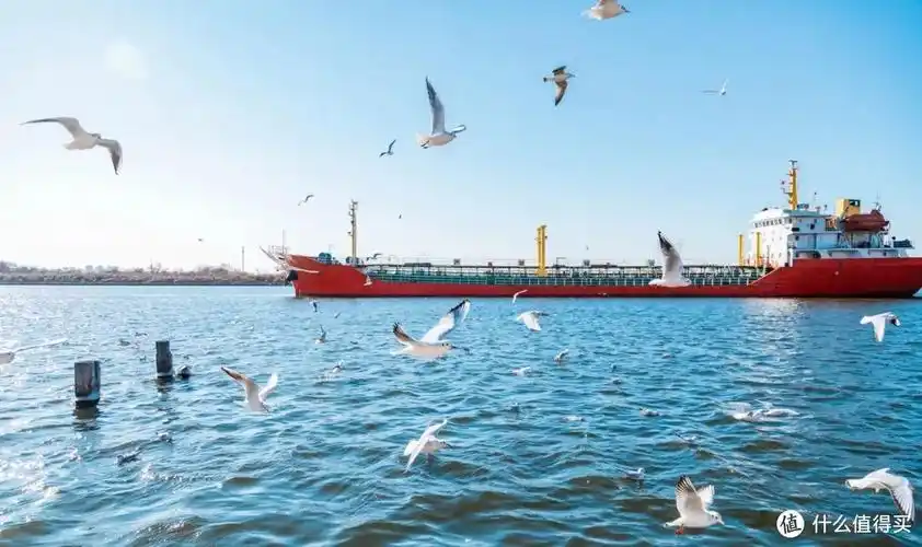 邂逅大海去天津赴一场浪漫的周末之旅