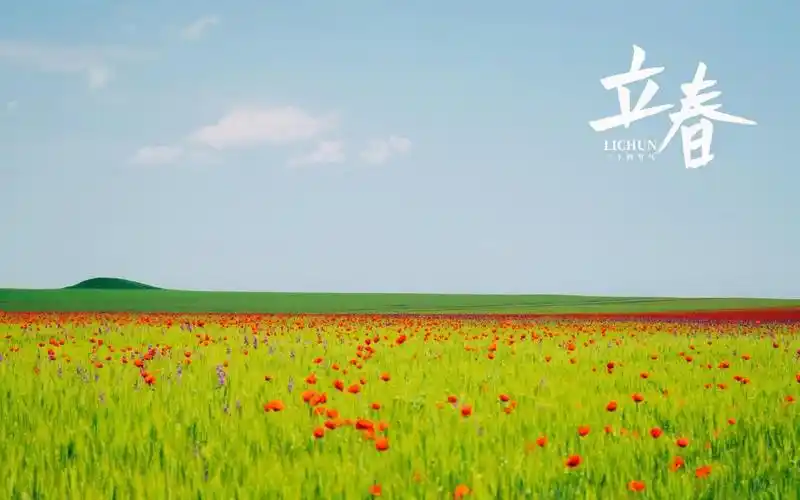 2021年二十四节气之立春,高清图片,节日壁纸-回车桌面