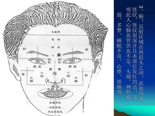 通过面部各种表象合理判断自身健康状况.