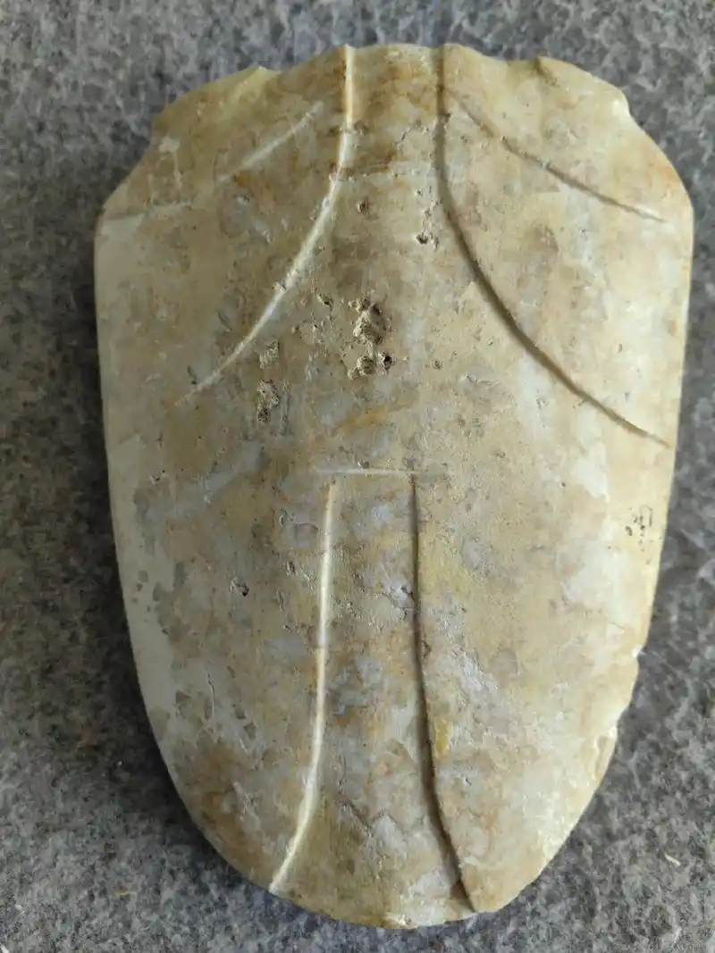 良渚文化:蝉形器(长16.5.良渚玉蝉形器发现并不多,其器型 - 抖音