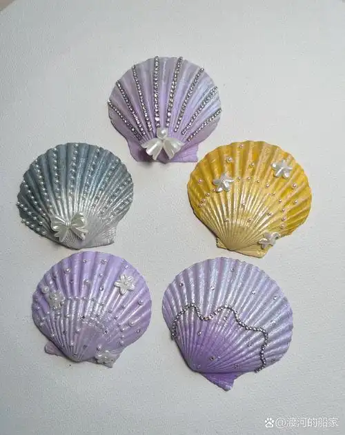 创意手工贝壳小作