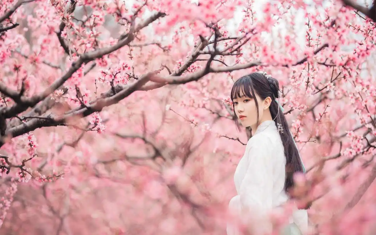 桃花树下古装美女写真图片电脑壁纸