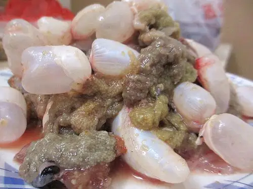 新鲜鲫鱼鱼籽微山湖纯野生鲫鱼鱼籽新鲜鱼卵鱼蛋当天活鱼现杀现取