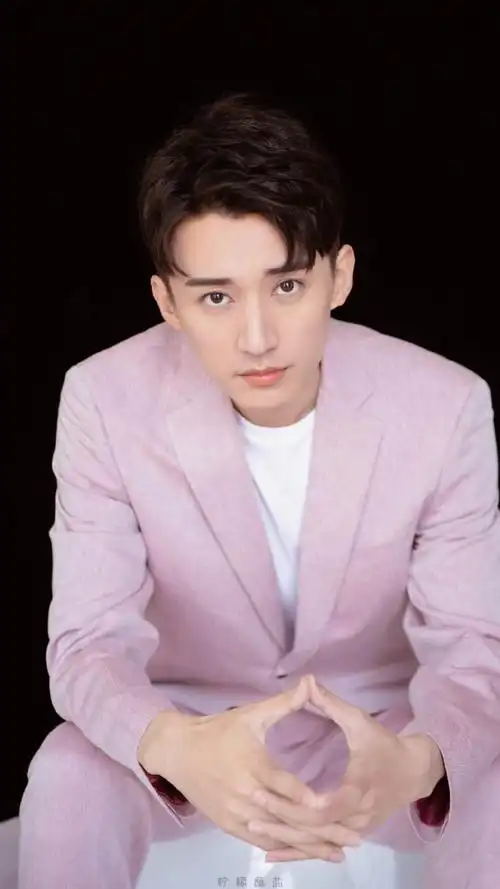 鹅蛋脸男明星代表(鹅蛋脸的中国男明星有哪些)-12